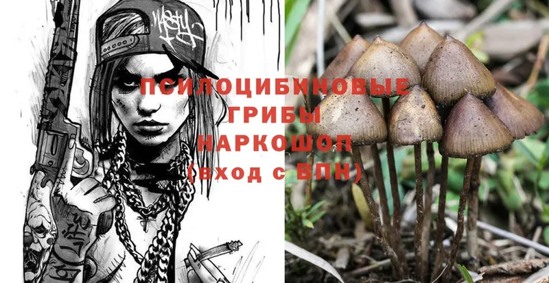 Псилоцибиновые грибы Psilocybe  Рыбное 